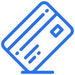 Online Payment